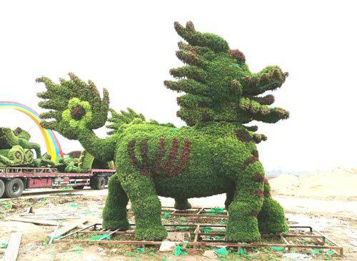 五色草造型--麒麟